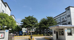 赏金国际简介